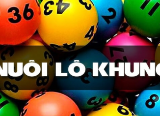 Thế nào là nuôi lô khung? Cách nuôi lô khung 3 ngày hiệu quả nhất