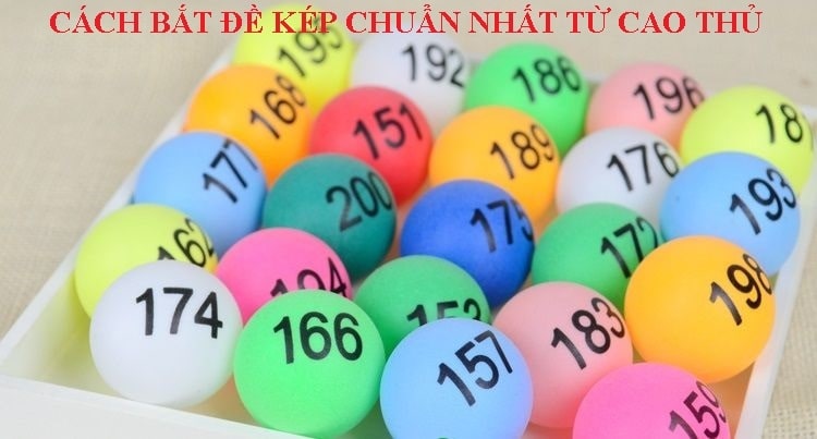 thong-tin-co-ban-ve-dau-hieu-bao-de-ve-kep